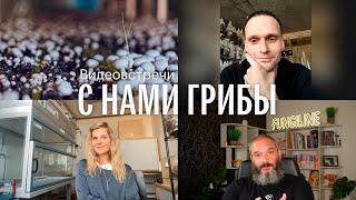 С нами грибы. Выращивание грибов в городских условиях. Кирилл Аксенов, Анна Ильвер