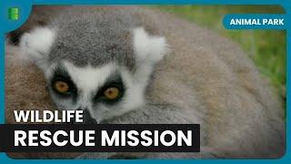 Exotic Animals Need Urgent Care - Animal Park - Documentary