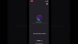 How to import your existing wallet to join Pulse Wallet  #pulsechain #defi #crypto #pulsewallet