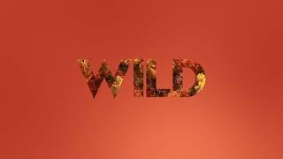 Nat Geo Wild New 2019 Ident Full HD