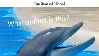 Can You Name These Common Animals Quiz Answers 100% | Quiz Diva