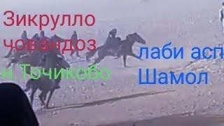 Бузкаши н.Тоҷикобод Зикруло човандоз аспи худаш лакаби асп Шамол ай н.Точикобод д.Нушори Поëн 2023с