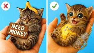 Nobody Wanted This POOR GRUMPY KITTEN I Turned Her Into the RICHEST PET Ever