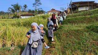 Penuh Perjuangan, Pengantar Pengantin Sampai Terperosok Ke Sawah.  Nikahan Di Kampung Pelosok Garut