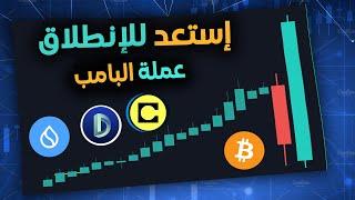 هل حان وقت الصعود الكبير ؟ تحليل حركة العملات الرقمية 2024