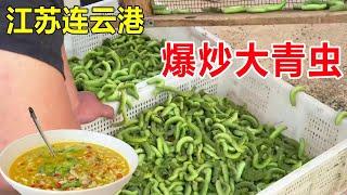 江苏连云港黑暗料理大青虫，一盆能卖3000多，外地人闻风丧胆 #麦总去哪吃