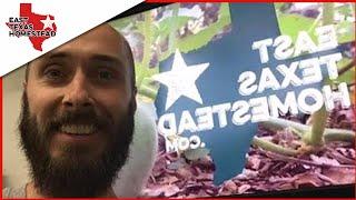  Let's Chat Homesteaders! - East Texas Homestead Live