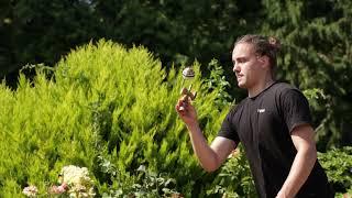 Sakura Film Day - Terra Kendama