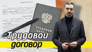 Трудовой договор. Как законно оформить трудовые отношения с работодателем?