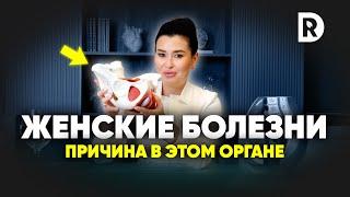 Малый таз - орган про который вы не знали