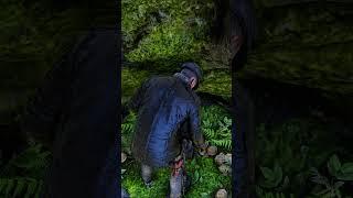 Many players missed this hidden chest hidden in under this waterfall - RDR2