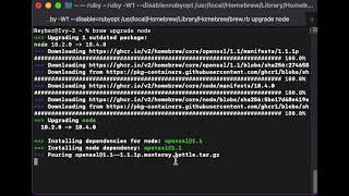 Upgrade Node js using Homebrew