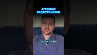 Агрессия под мухомором ￼