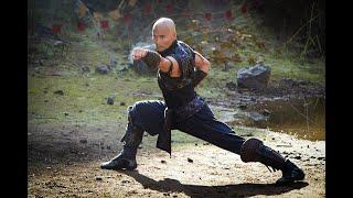 Martial Arts Stars That Deserve More Recognition