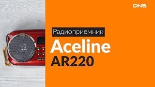 Распаковка радиоприемника Aceline AR220 / Unboxing Aceline AR220