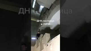 Главный враг первокурсников  #ЛЭТИ