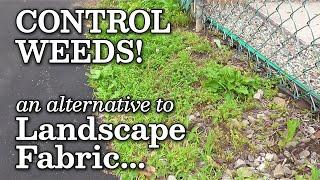 Landscape Fabric Pros & Cons Finding an Alternative thru Sheet Mulching for Weed Control