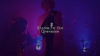 Bloom in the Crevasse - Short live clip 『Paganism』