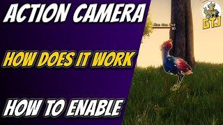 Guild Wars 2 Action Camera | How Does It Work And How To Enable