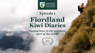 Fiordland Kiwi Diaries Episode 1 | Kiwi monitoring in remote New Zealand wilderness