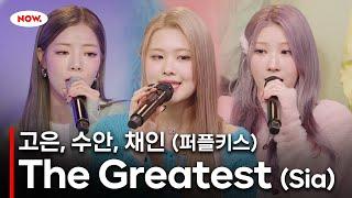 [LIVE] 퍼플키스(PURPLE KISS) 고은, 수안, 채인 - The Greatest(Sia)ㅣ네이버 NOW.