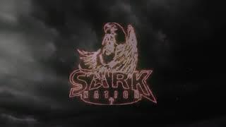 Sarkodie - The Ever Shining Black Star