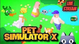 стрим по пет симулятор х pet simulator X  update