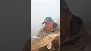 САМЫЙ ПРОВЕРЕННЫЙ СПОСОБ ЛОВЛИ СУДАКА