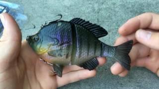 Savage gear 3D Bluegill review