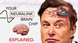 Neuroscience of Elon Musk's NEURALINK Brain Chip