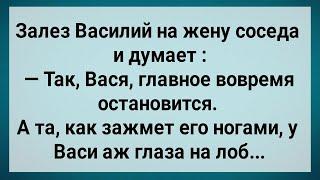 Как Василий На Жену Соседа Залез! Сборник Свежих Анекдотов! Юмор!