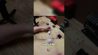 Installing an Amplifier Board  Step by Step Guide