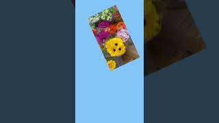 Flower Trader Jo’s’ #trending #shorts #viralvideo #flowers