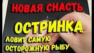 Новая снасть Остринка для ловли осторожной рыбы