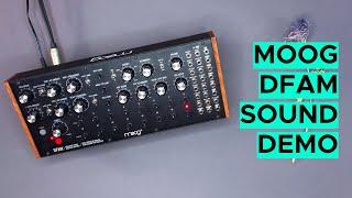 Moog DFAM Sound Demo (no talking) Techno and Ambient