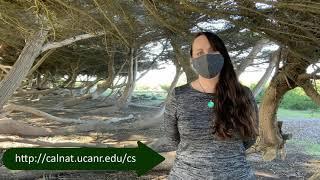 UC ANR Offers New UC Climate Stewards Certification Course