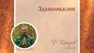 Здравомыслие. Роман Косарев