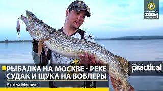 Рыбалка на Москве - реке. Судак и щука на воблеры. Артем Мишин. Anglers Practical