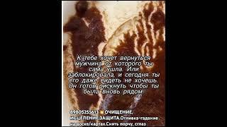 #гадание #таро #будущееотношений Посмотреть один вопрос 500