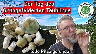 Der Tag des Grüngefelderten Täublings - Wunderbare Pilze im Juli 2024