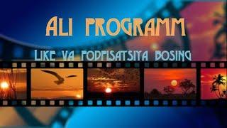 Kompyuter saboqlari #4/Ali programm #4/Excel bilan ishlash #2