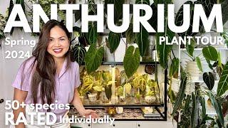 Anthurium Collection Tour: Seedlings to Mother Plants  | Care Tips & Ratings