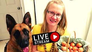 Coloring Easter Eggs Live Stream