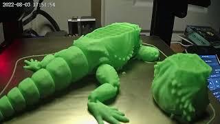 MatMire_Makes Bearded Dragon time lapse