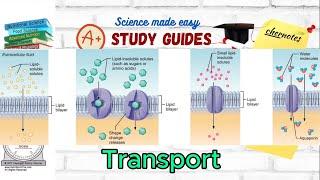 Membrane Transport: Passive, Active, Facilitated Transport, Osmosis