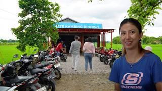 JUALAN di TENGAH SAWAH TAPI RAME BANGET | Sate Gule Kambing Binowo