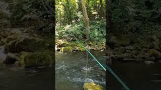 Trying the Metallic Mayfly on the Savage River