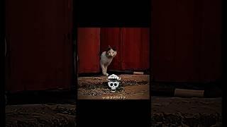 Mother Cats protection..#cat#trollfaceedit