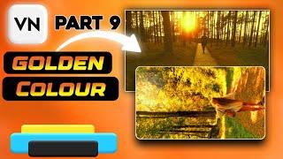 vn golden colour video editing | vn color grading | #vn #video