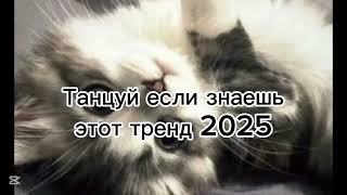 Танцуй если знаешь этот тренд 2025 #рек #рекомендации #танцы #тренды #рееееееееек #2025